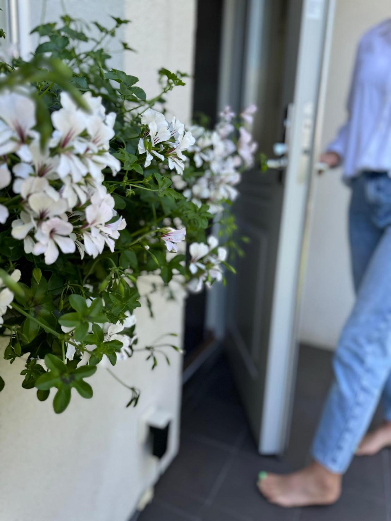 Guest House "8 Smilgos" Κλαϊπέντα Εξωτερικό φωτογραφία